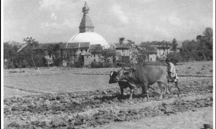 Kathmandu Valley in Ancient Age || Collection Old Video|| Kathmandu…