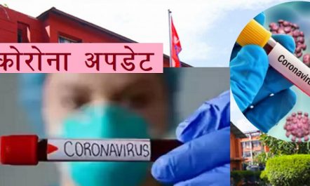 कोरोनाको हटस्पट बन्दै काठमाडौं, देशभर ३ सय ४३ संक्रमित आईसीयू…