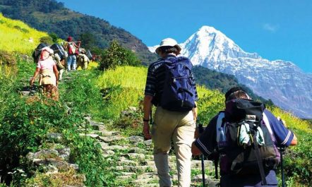 ११ महिनामा नौ लाखभन्दा बढी पर्यटकले गरे नेपालमा घुमघाम,अष्ट्रेलियाको हिस्सा…